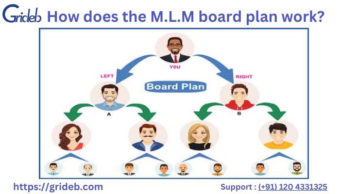 How does the M.L.M board plan work?